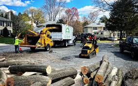 Best Tree and Shrub Care  in Jonesboro, LA